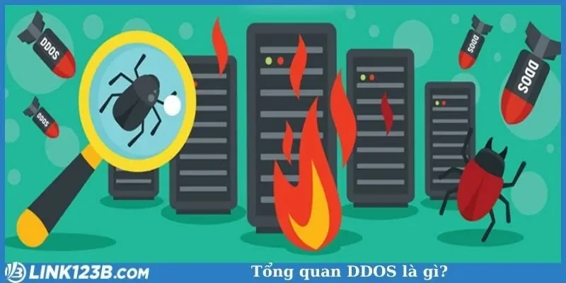 Tổng quan DDOS là gì?