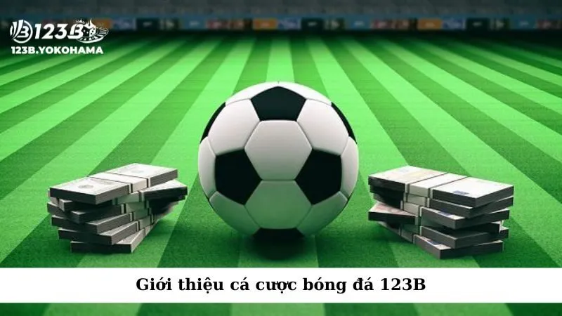 Giới thiệu cá cược bóng đá 123B