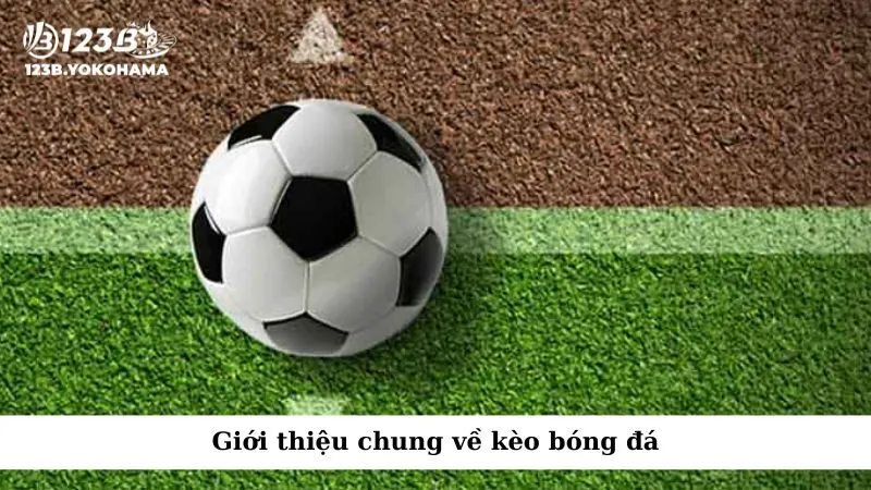 Giới thiệu sơ lược về kèo bóng đá